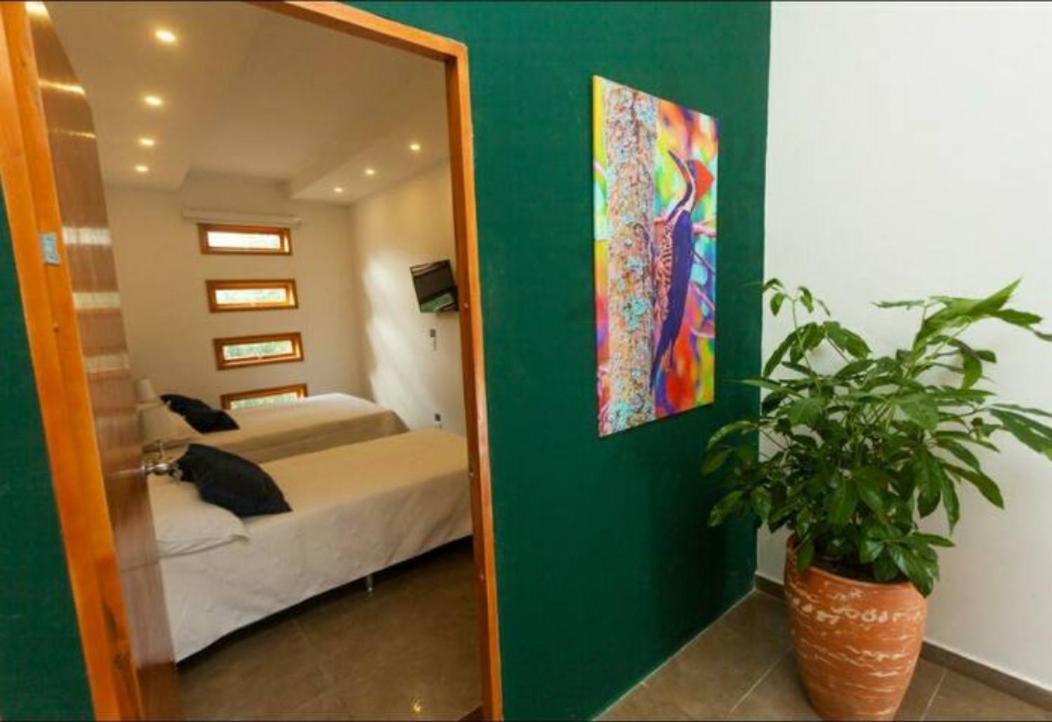 Albore Hostal Перейра Екстер'єр фото
